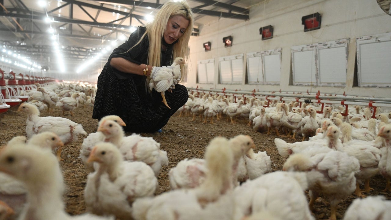 Foto - 20 milyonluk yatırım! Hayalini devlet desteğiyle gerçeğe dönüştürdü