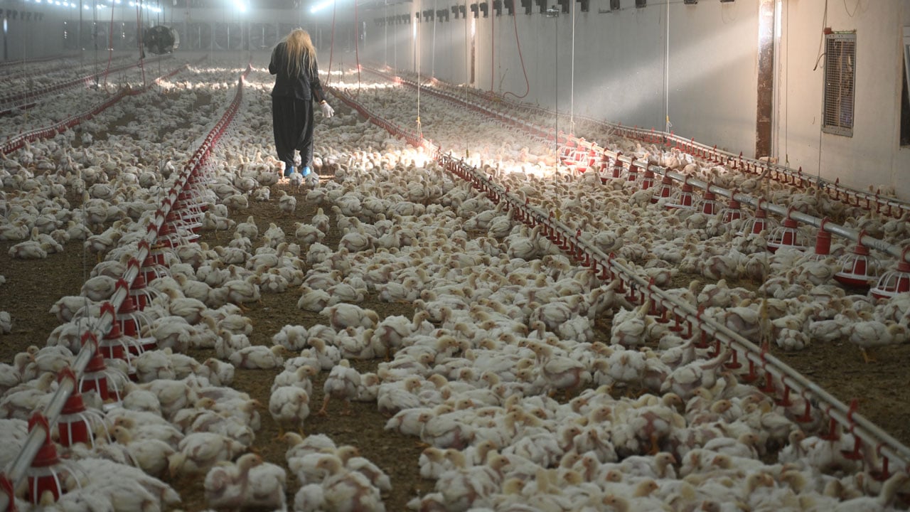 20 milyonluk yatırım! Hayalini devlet desteğiyle gerçeğe dönüştürdü