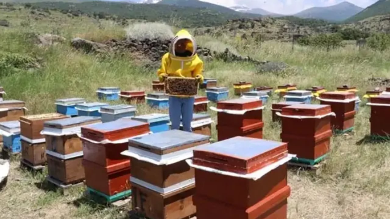 Foto - 20 yaşında kendi işini kurdu: Maaşlı çalışma bana göre değil dedi