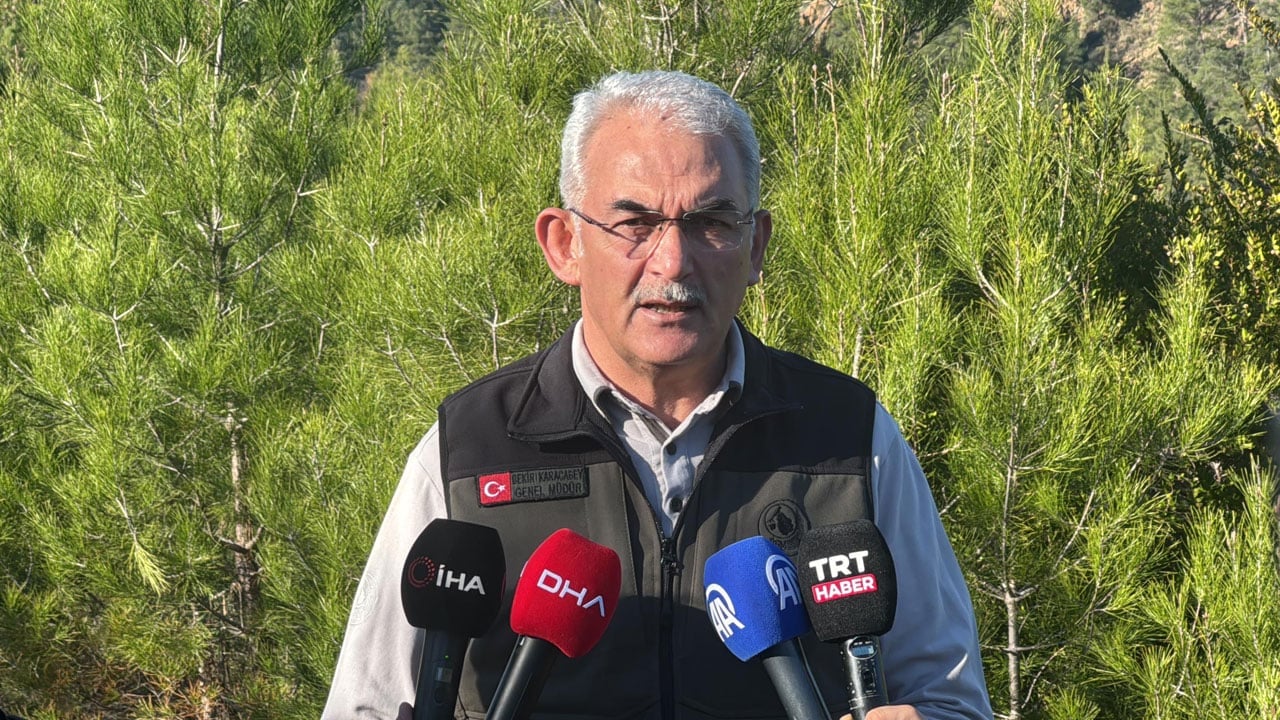 Foto - 2019 yılında kül olmuştu! Binlerce hektarlık alan yeniden yeşerdi