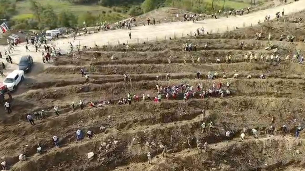 Foto - 2019 yılında kül olmuştu! Binlerce hektarlık alan yeniden yeşerdi