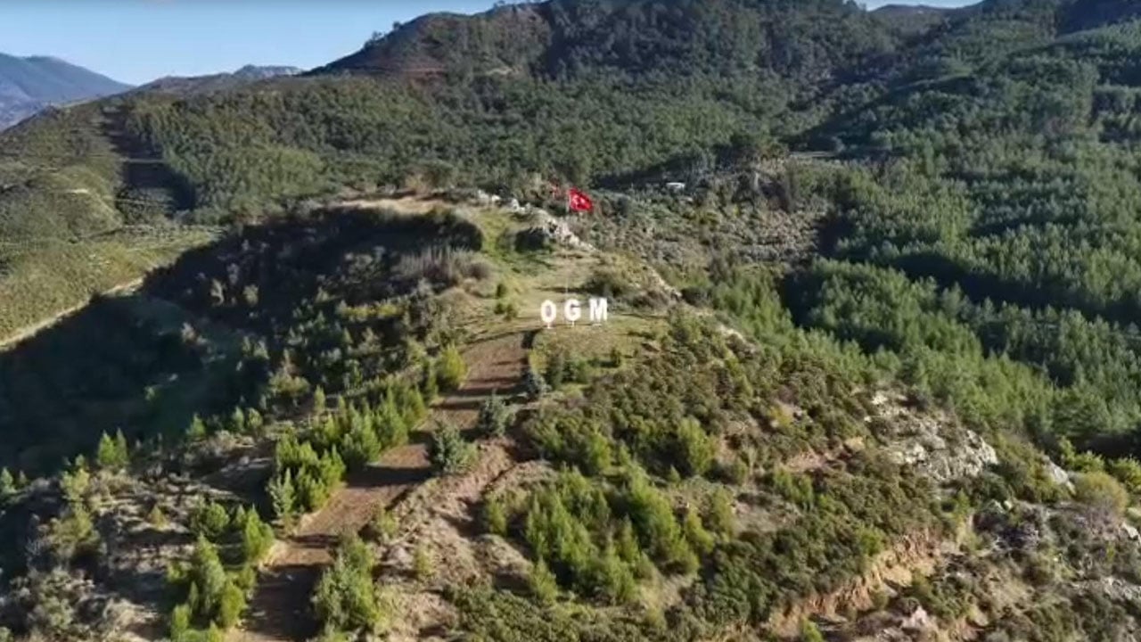 Foto - 2019 yılında kül olmuştu! Binlerce hektarlık alan yeniden yeşerdi