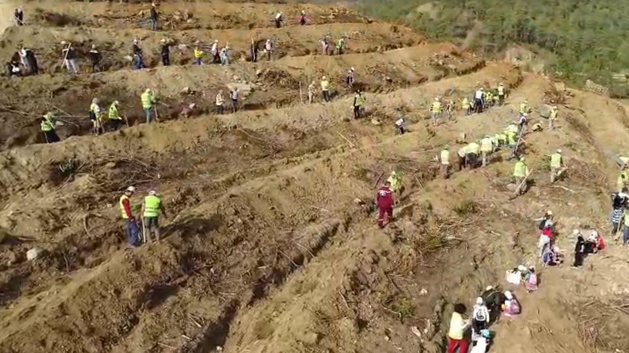 Foto - 2019 yılında kül olmuştu! Binlerce hektarlık alan yeniden yeşerdi