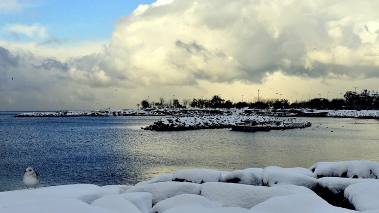 Foto - 2026 çok soğuk geçecek çok... Kara kış İstanbul'a geliyor! Tarih verildi, lapa lapa kar yapacak