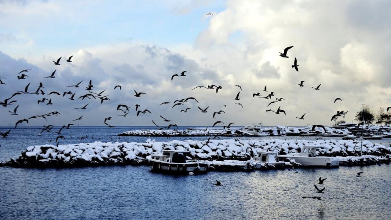 Foto - 2026 çok soğuk geçecek çok... Kara kış İstanbul'a geliyor! Tarih verildi, lapa lapa kar yapacak