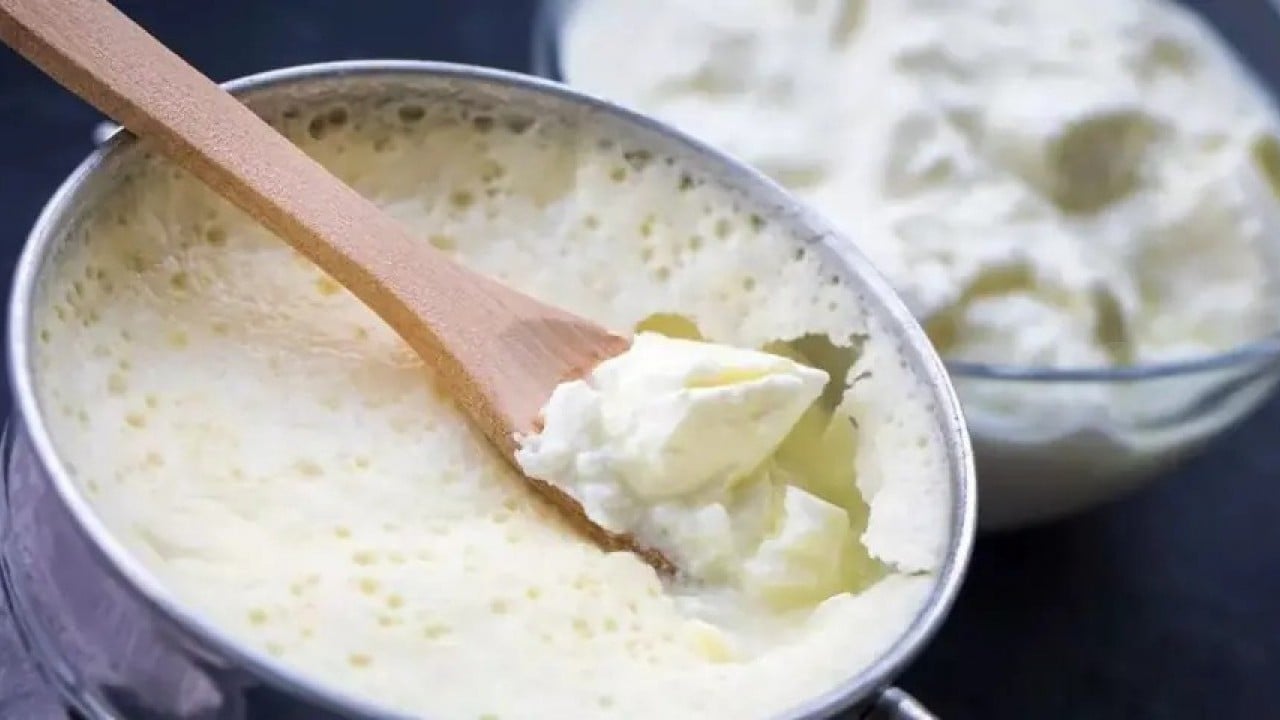 2026’nın vazgeçilmezi olacaklar Yoğurt ayran turşu olmazsa olmazımız