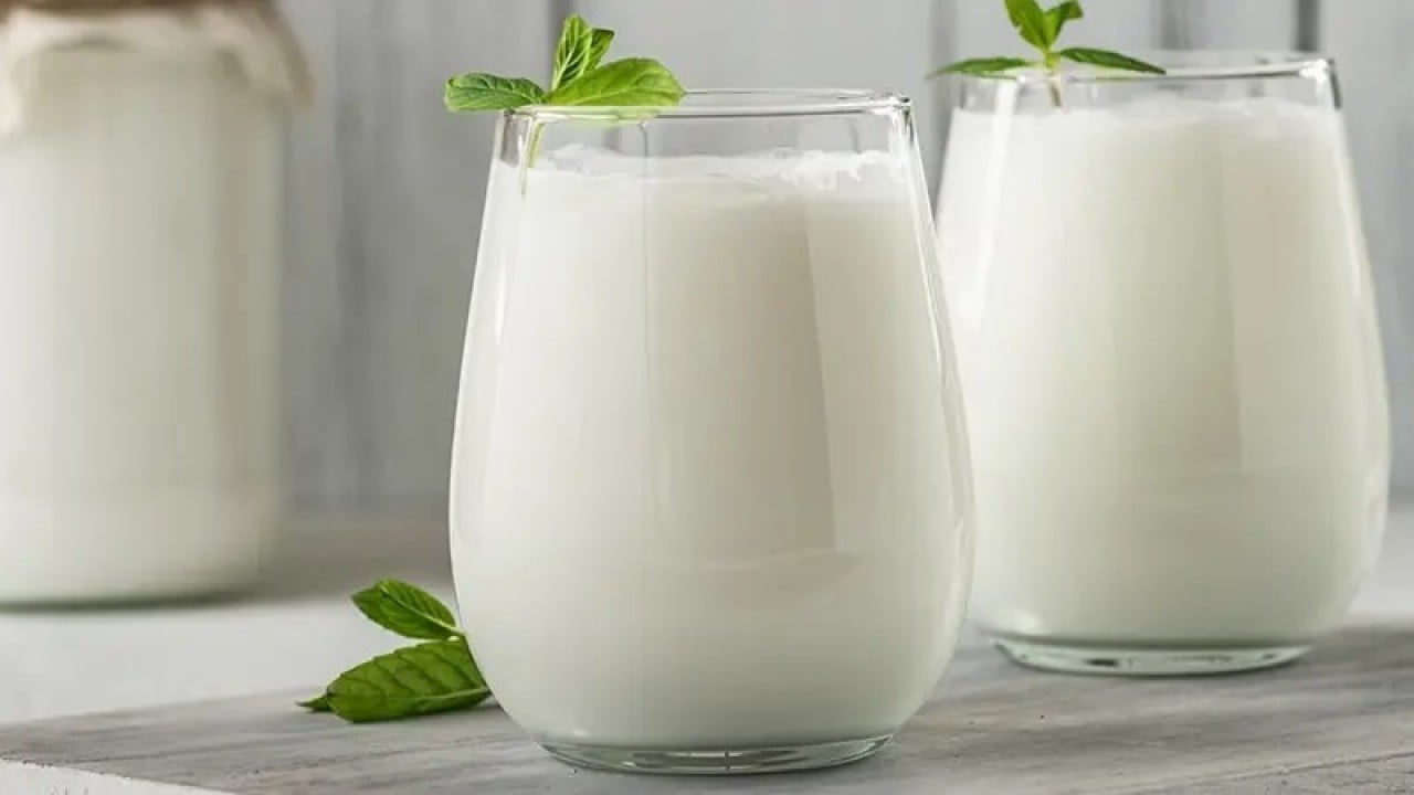 Foto - 2026’nın vazgeçilmezi olacaklar Yoğurt ayran turşu olmazsa olmazımız