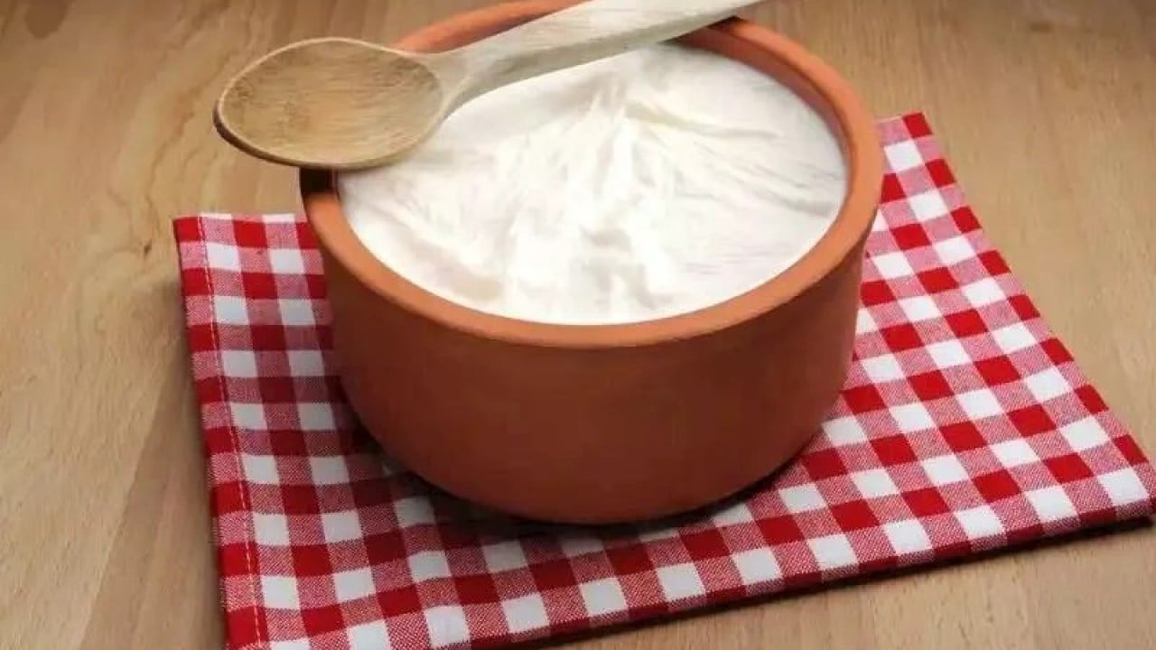Foto - 2026’nın vazgeçilmezi olacaklar Yoğurt ayran turşu olmazsa olmazımız