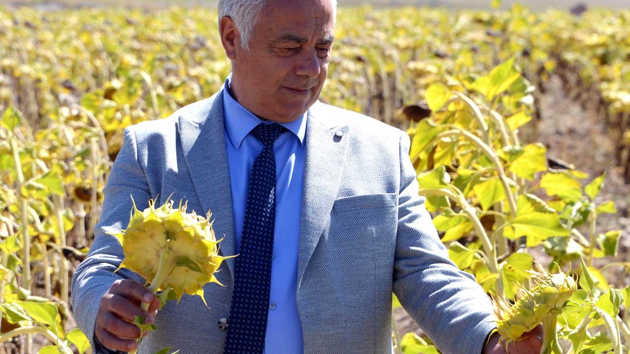 2050 yılı için ürküten senaryo: Tarımı bekleyen büyük tehlike