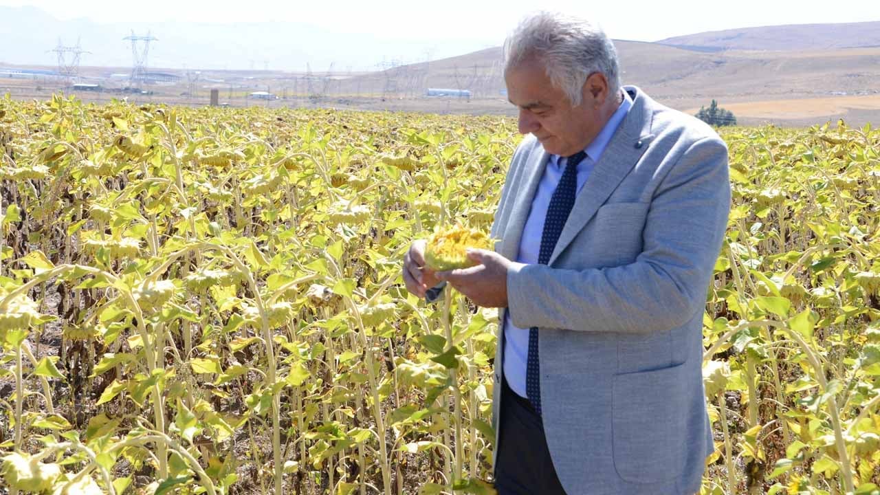 Foto - 2050 yılı için ürküten senaryo: Tarımı bekleyen büyük tehlike