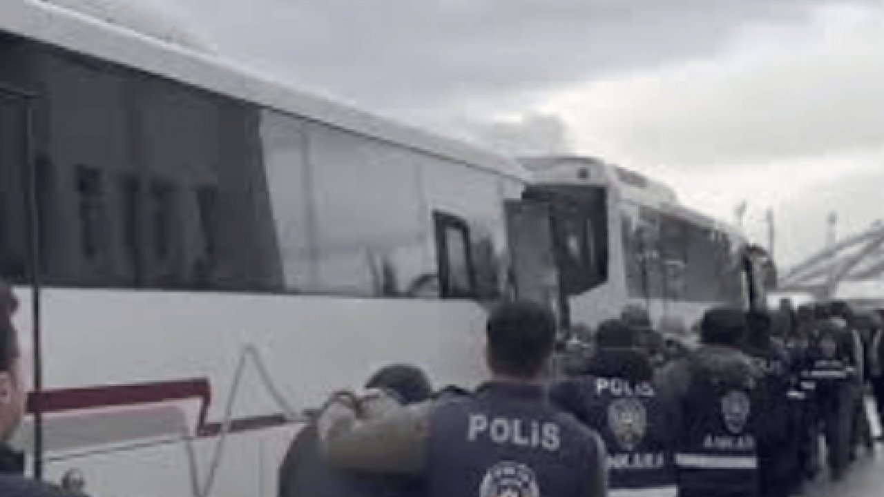 Foto - 22 ilde ‘sazan sarmalı’ operasyonu! 600 milyonluk vurgun yapan şebeke çökertildi