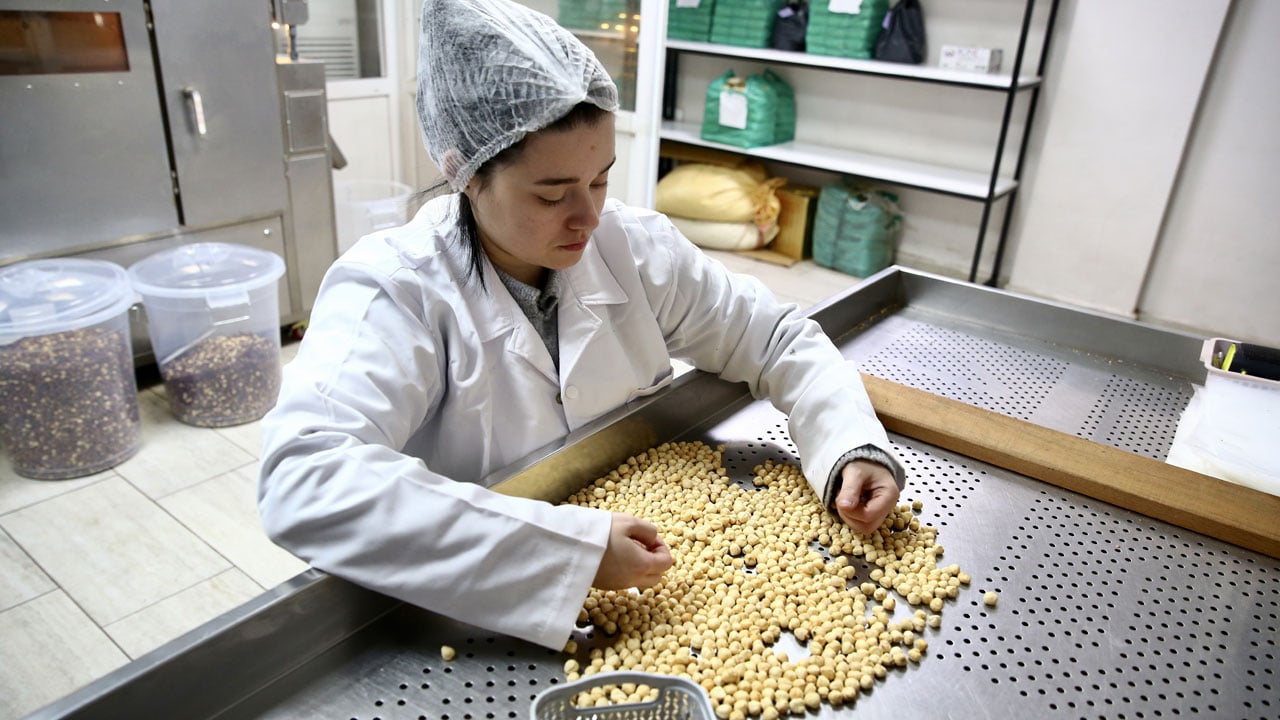 Foto - 23 yaşında kendi işinin patronu oldu! Devlet desteğiyle fındığa değer kattı