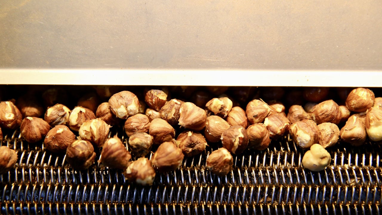 Foto - 23 yaşında kendi işinin patronu oldu! Devlet desteğiyle fındığa değer kattı