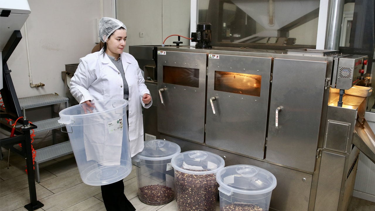 23 yaşında kendi işinin patronu oldu! Devlet desteğiyle fındığa değer kattı