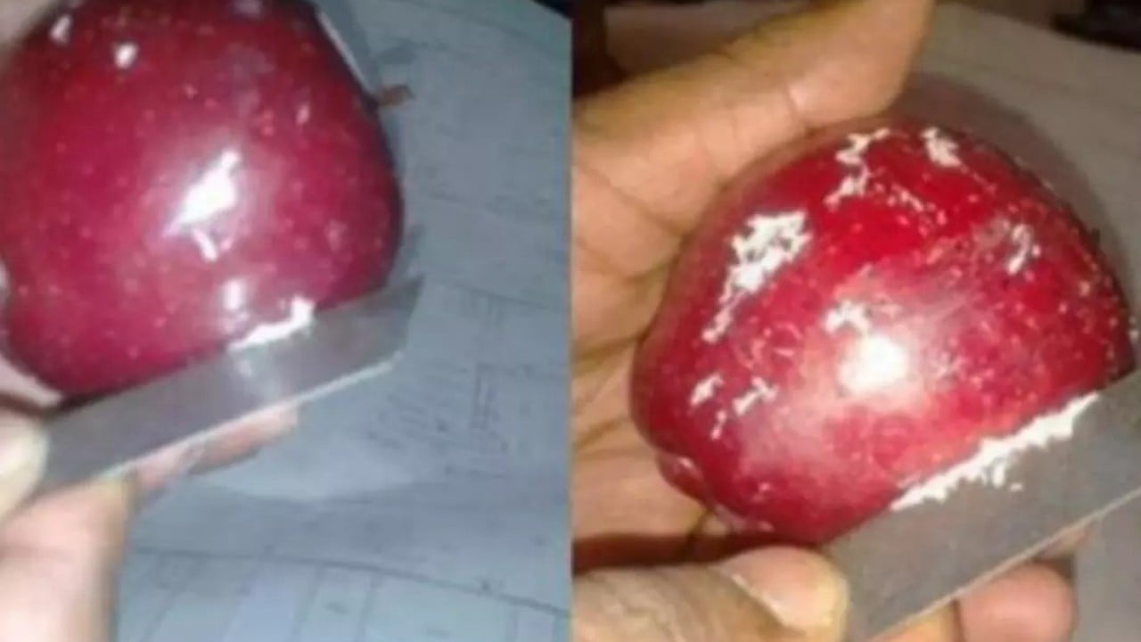 Foto - 233 ton elma imha edildi