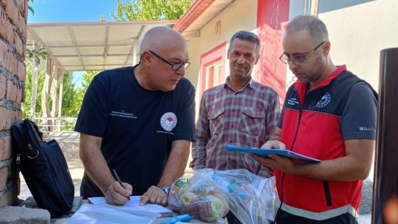 Foto - 233 ton elma imha edildi