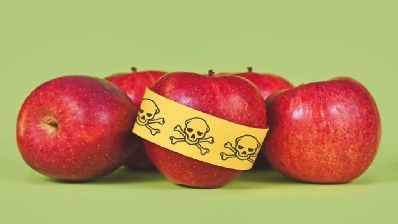 Foto - 233 ton elma imha edildi