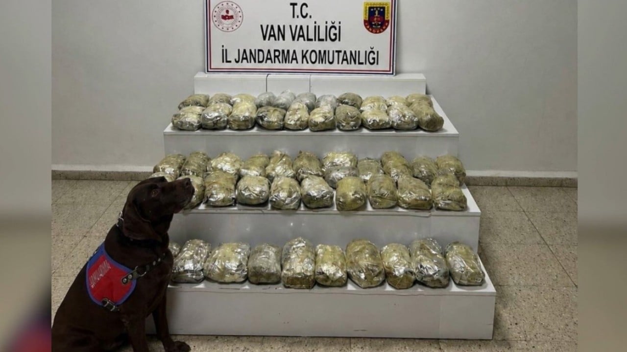 Foto - 24 ilde zehir tacirlerine operasyon yapıldı! Çok sayıda kişi tutuklandı 