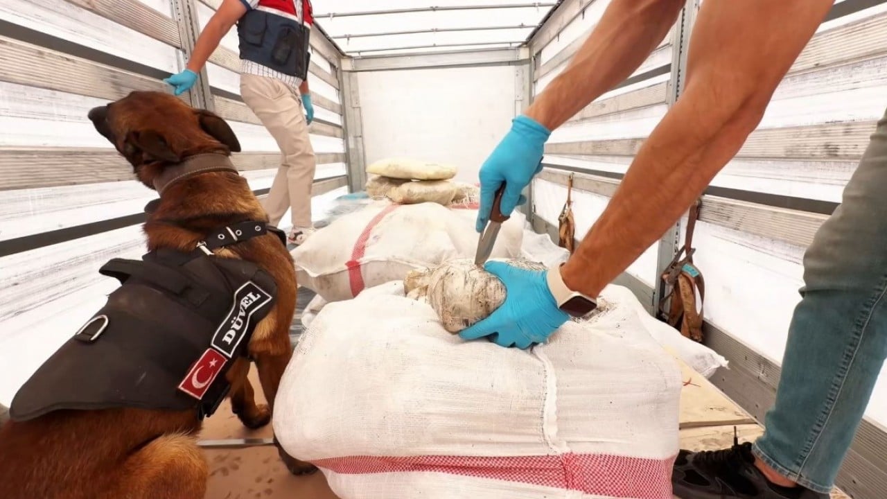 Foto - 24 ilde zehir tacirlerine operasyon yapıldı! Çok sayıda kişi tutuklandı 