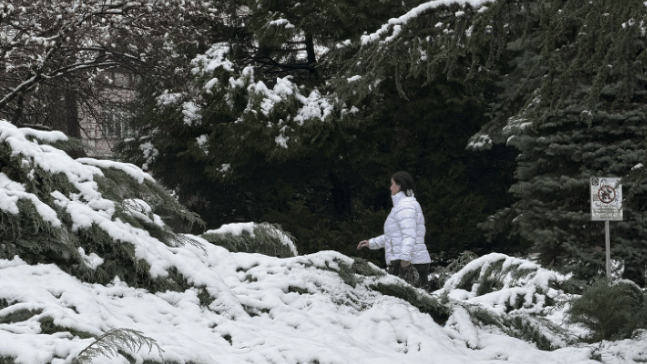 Foto - 24 Nisan’da sürpriz! Bu şehirler beyaza bürünecek