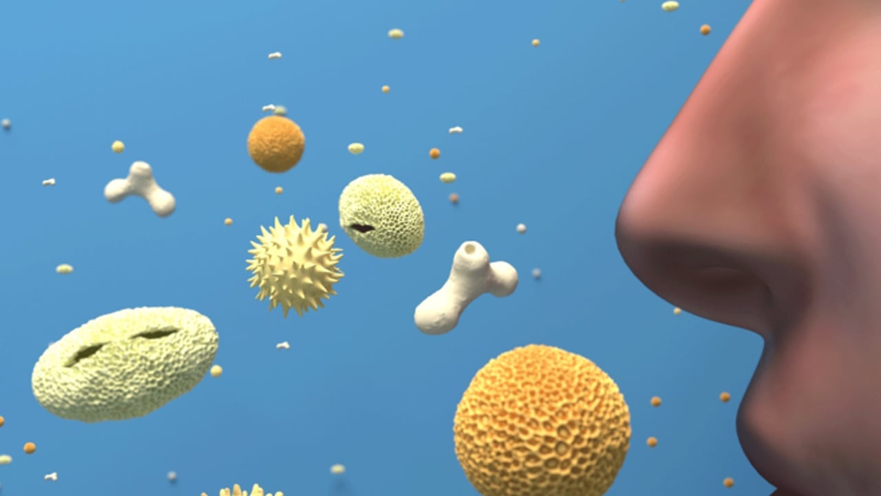 Foto - 24 Saatte gripten nasıl kurtulursunuz? (1 günde) Grip nasıl geçer, doğal yöntemler! Gribi hemen ne keser? Önce su içilir