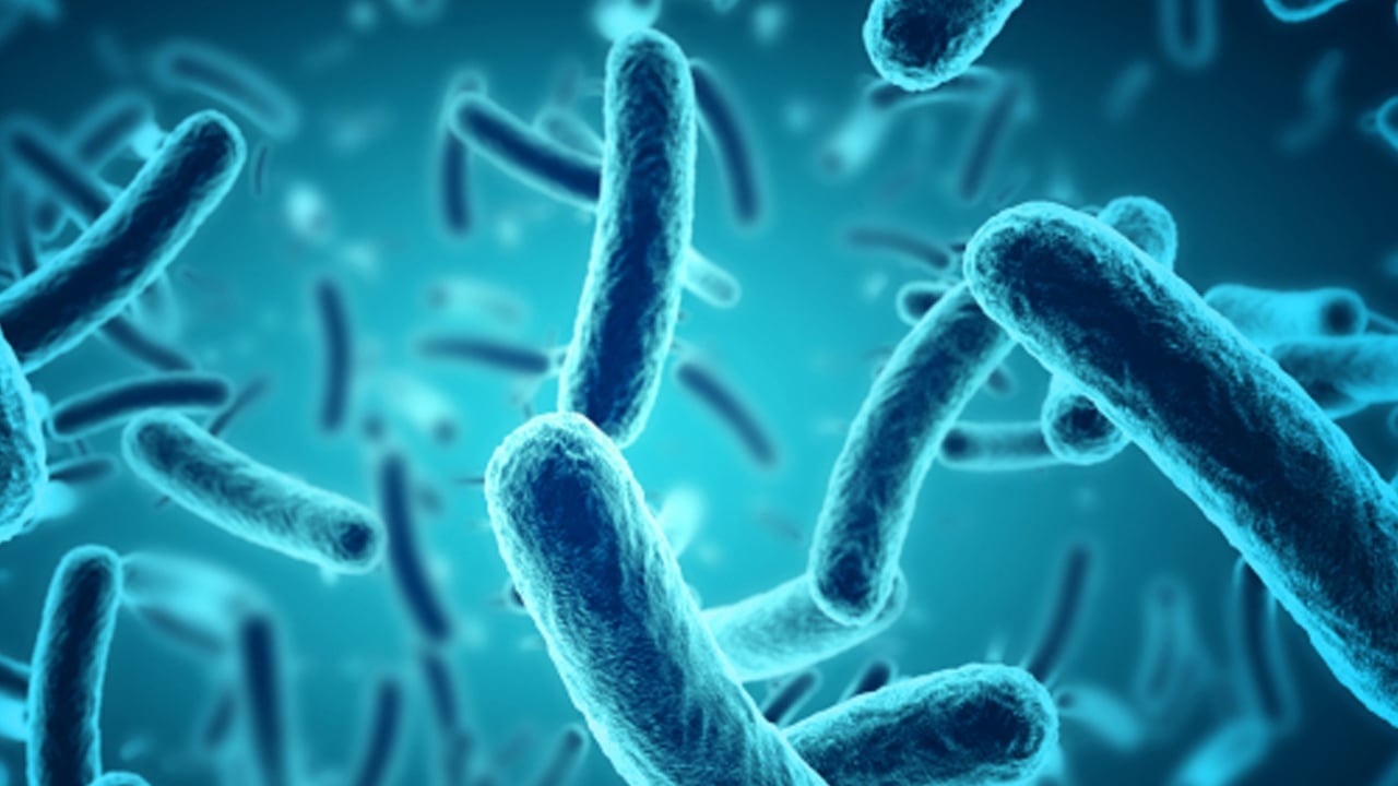 Foto - 24 Saatte gripten nasıl kurtulursunuz? (1 günde) Grip nasıl geçer, doğal yöntemler! Gribi hemen ne keser? Önce su içilir