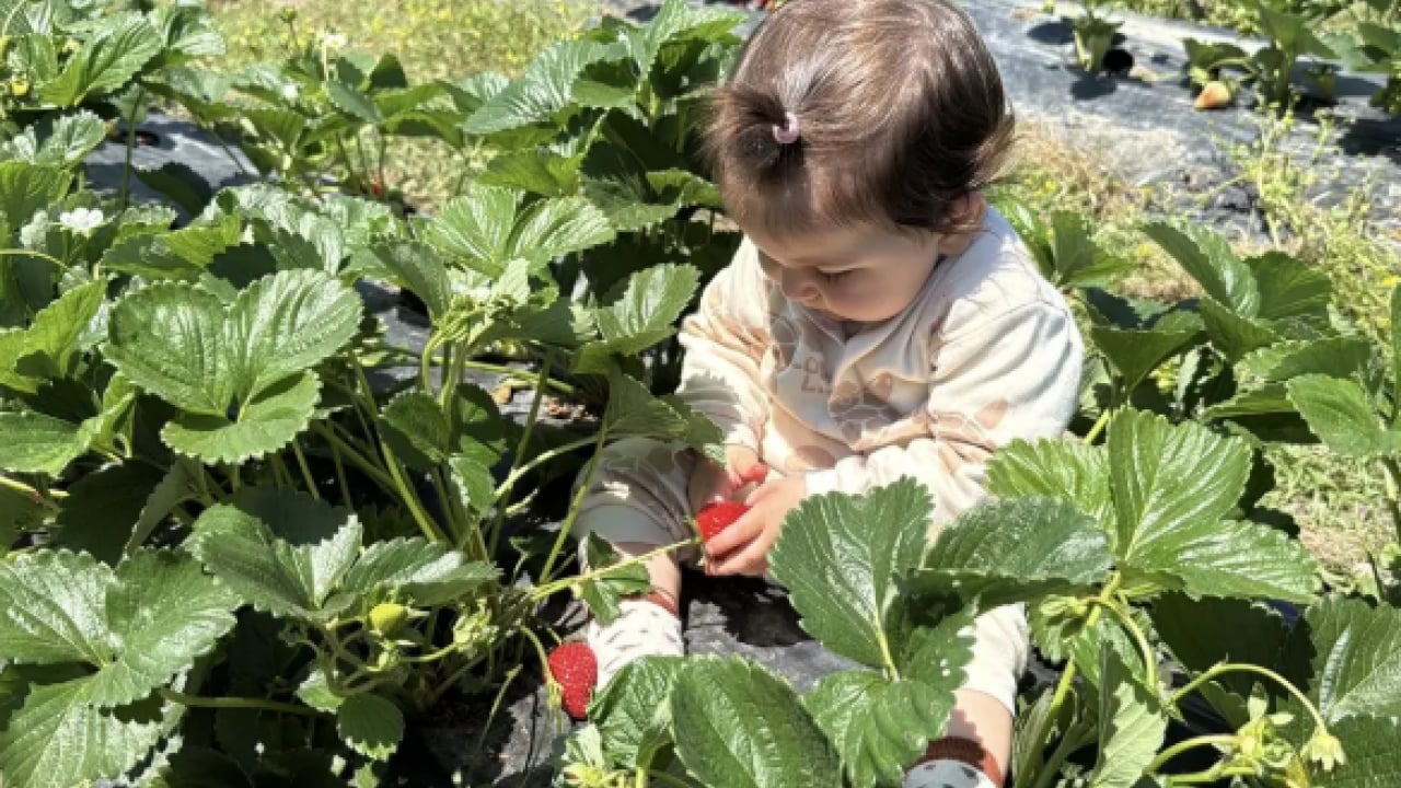 Foto - 27 yaşında yeni hayatına başladı! 'Kırmızı altın' için mesleğini bıraktı!