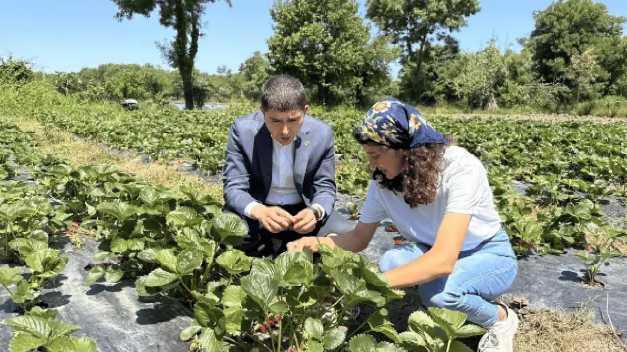 Foto - 27 yaşında yeni hayatına başladı! 'Kırmızı altın' için mesleğini bıraktı!