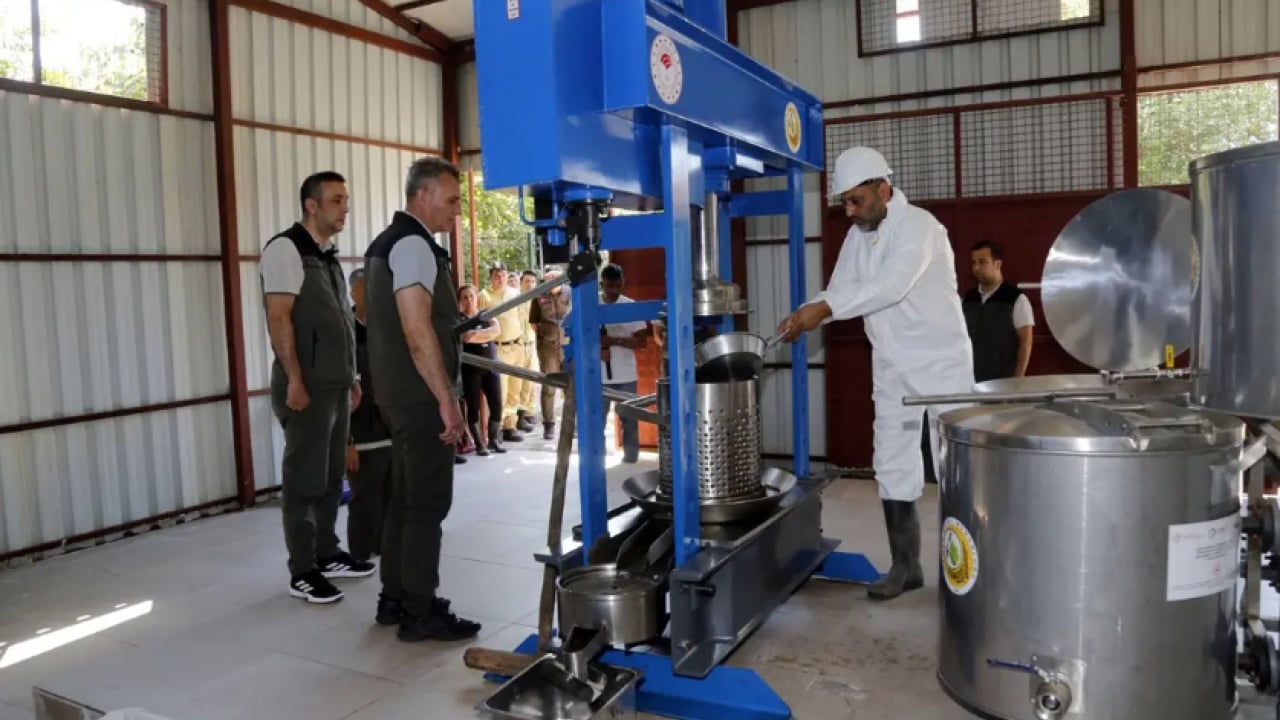 Foto - İkisi dünyada biri Türkiye'de yetişiyor: Kilosu 15 bin TL'den satılıyor!