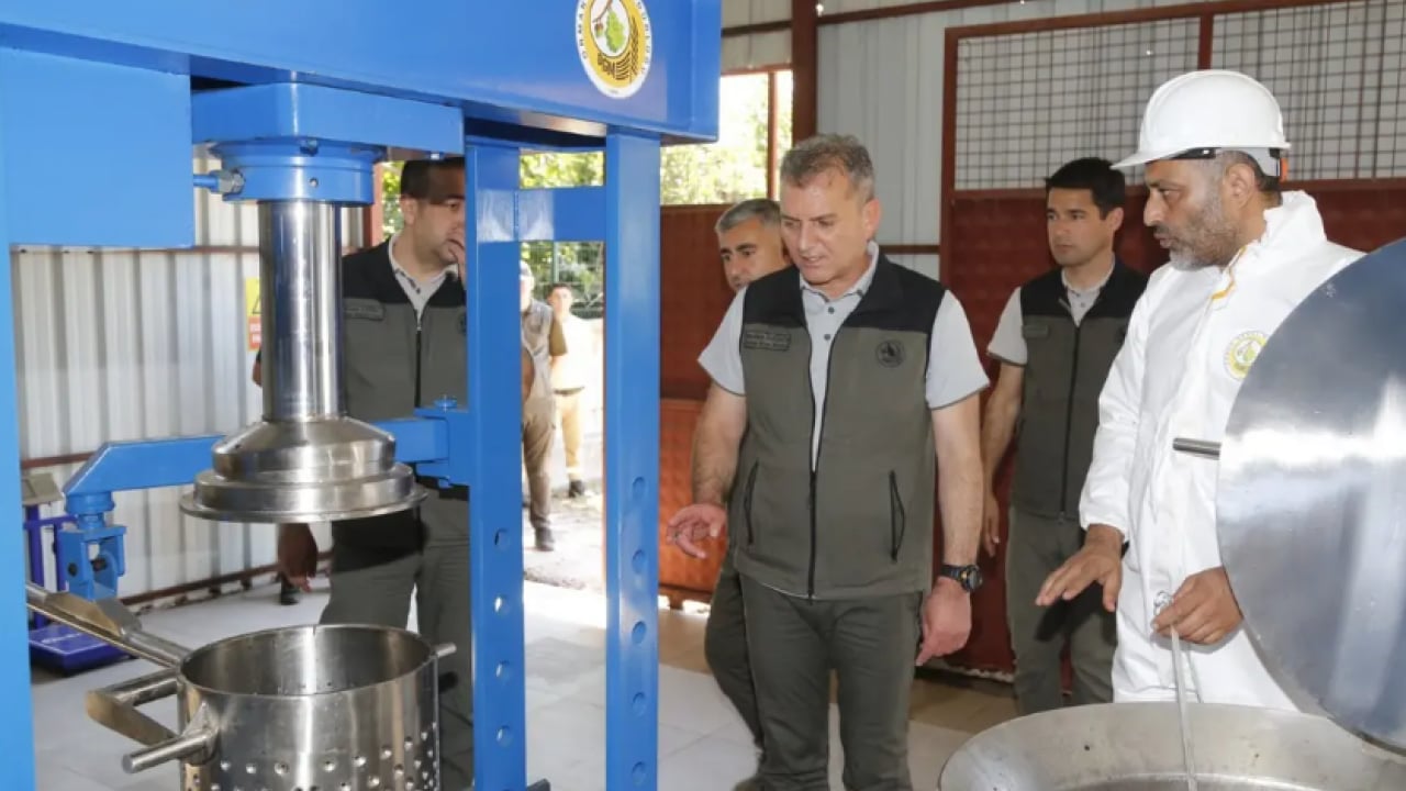 Foto - İkisi dünyada biri Türkiye'de yetişiyor: Kilosu 15 bin TL'den satılıyor!