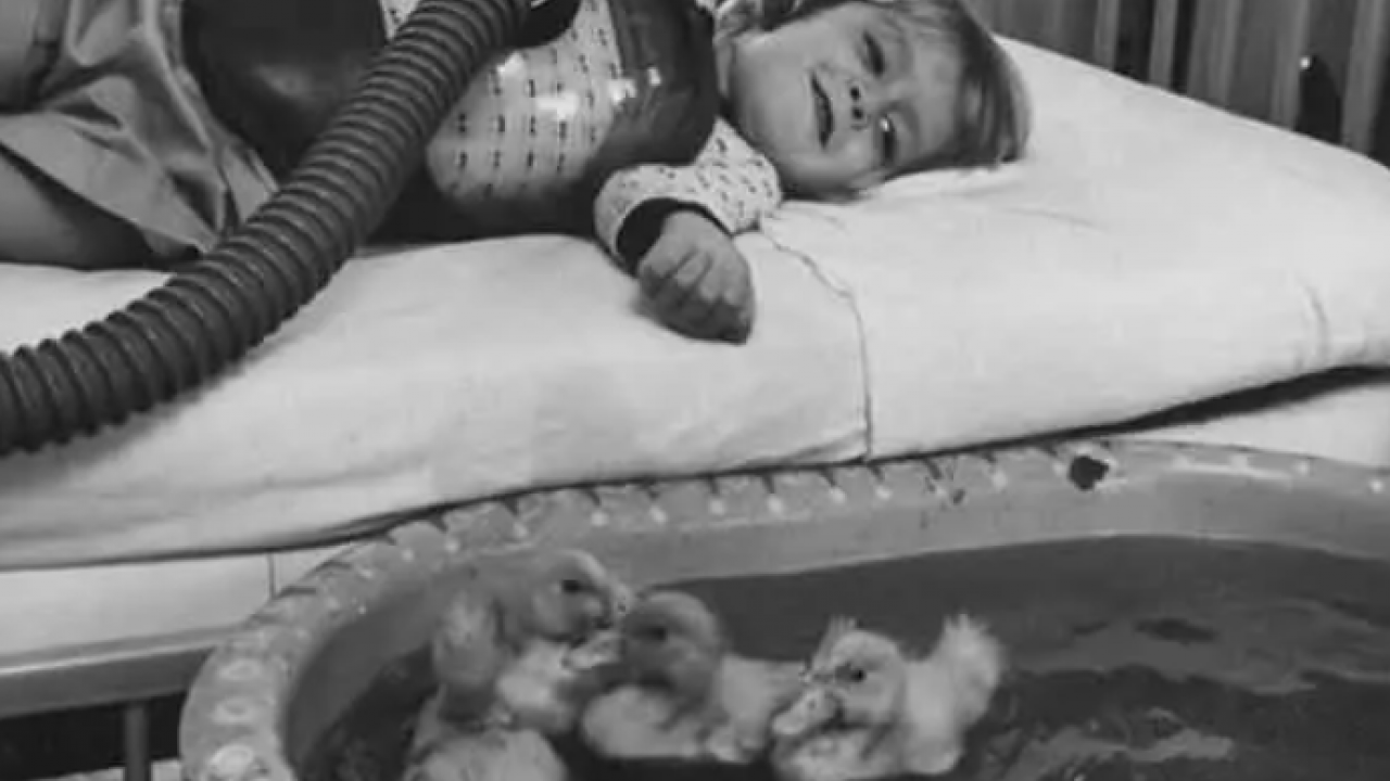 Foto - 3 bin 245 yıldır açılmadı! Bir fotoğraf dünyayı değiştirdi! 