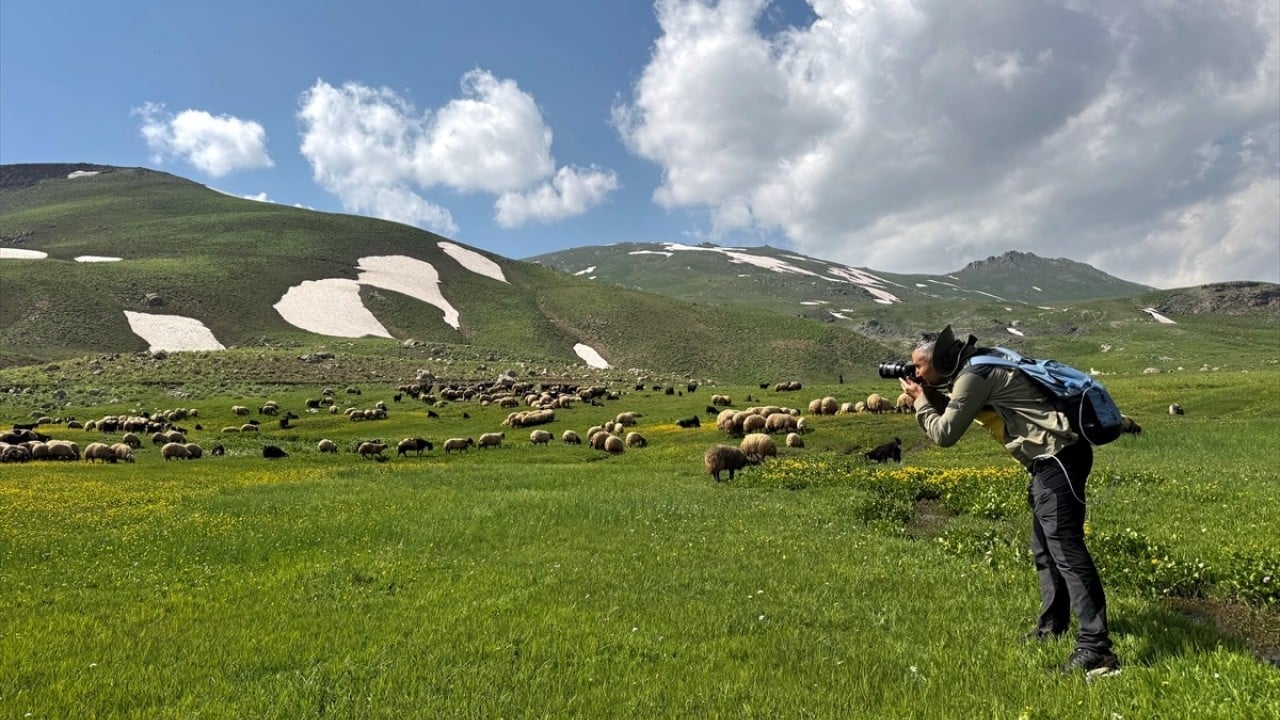Foto - 3 bin 300 rakımlı Berçelan Yaylası Yükseklerde bambaşka bir dünya