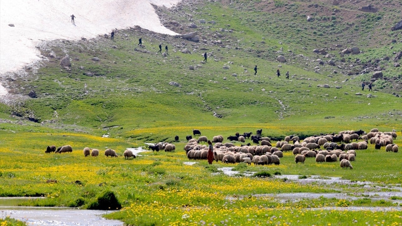 Foto - 3 bin 300 rakımlı Berçelan Yaylası Yükseklerde bambaşka bir dünya