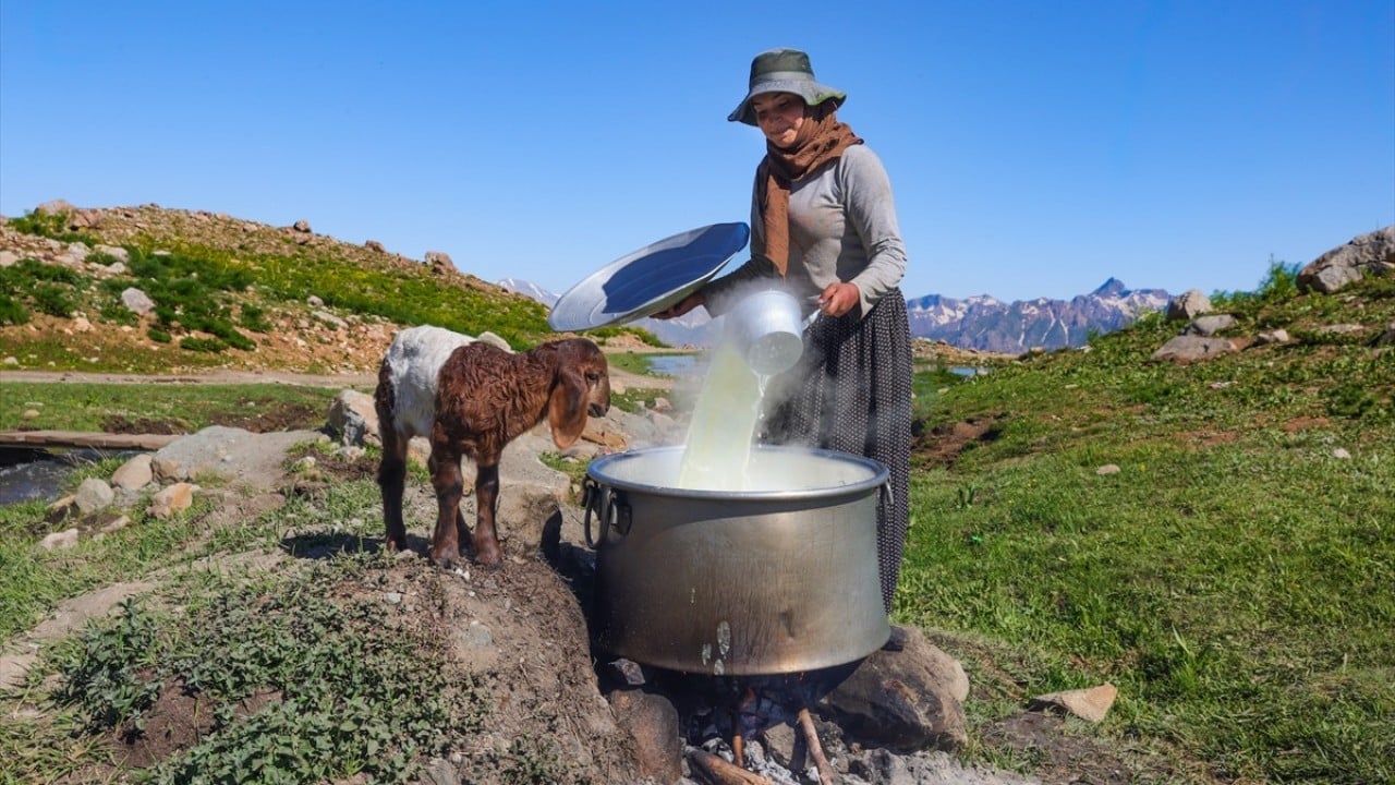 Foto - 3 bin 300 rakımlı Berçelan Yaylası Yükseklerde bambaşka bir dünya
