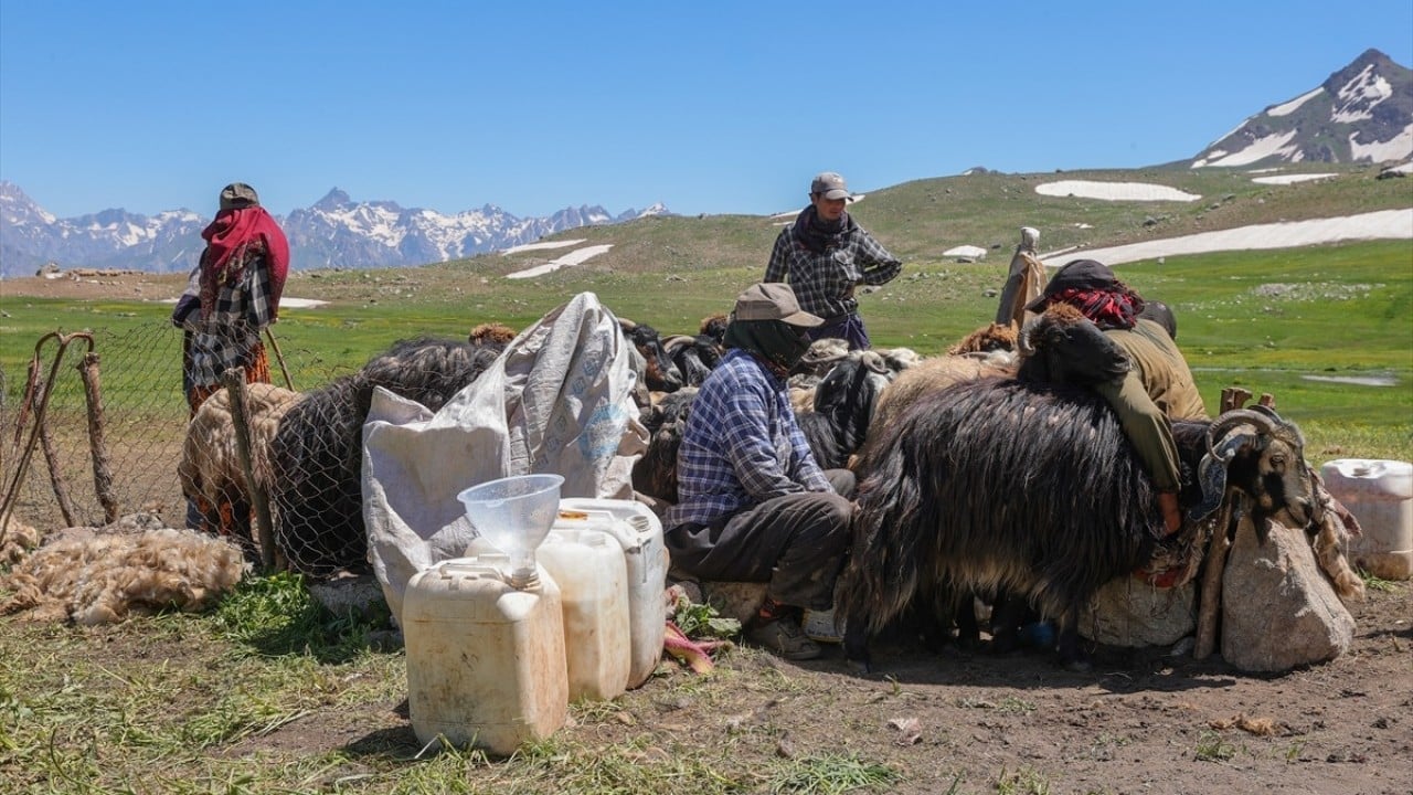 Foto - 3 bin 300 rakımlı Berçelan Yaylası Yükseklerde bambaşka bir dünya