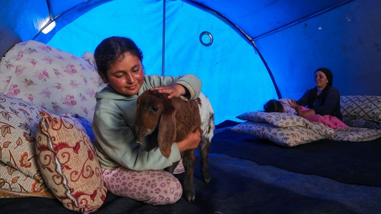Foto - 3 bin 300 rakımlı Berçelan Yaylası Yükseklerde bambaşka bir dünya