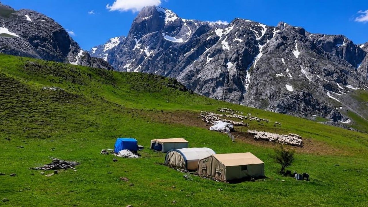 Foto - 3 bin rakımlı zirvede tescilli lezzet mesaisi