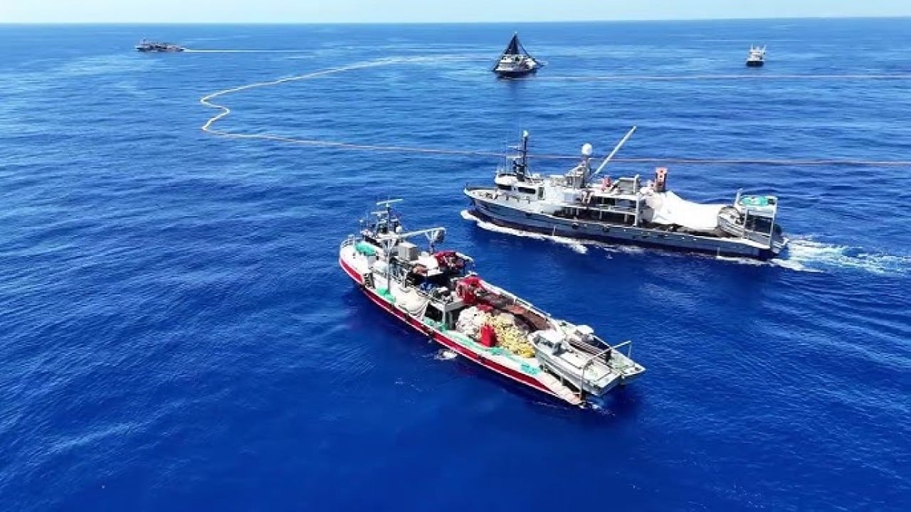Foto - 3 bin tonluk dev av Akdeniz’in bütün orkinoslarını topladık