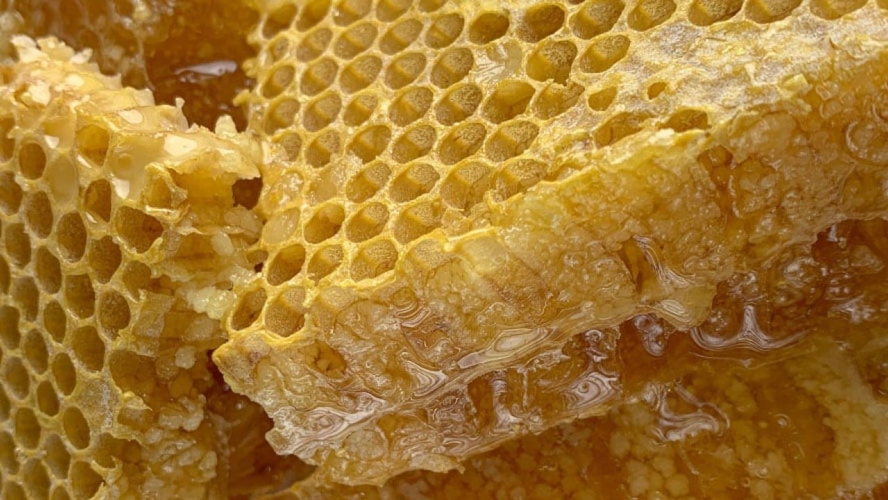 Foto - 3 Bin Yıllık Bal Bulursanız Tüketmekten Çekinmeyin! Bal neden asla bozulmaz?