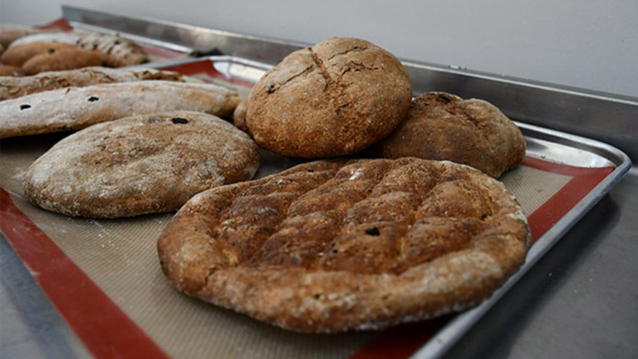3 bin yıllık ballı arpa ekmeği tarifi