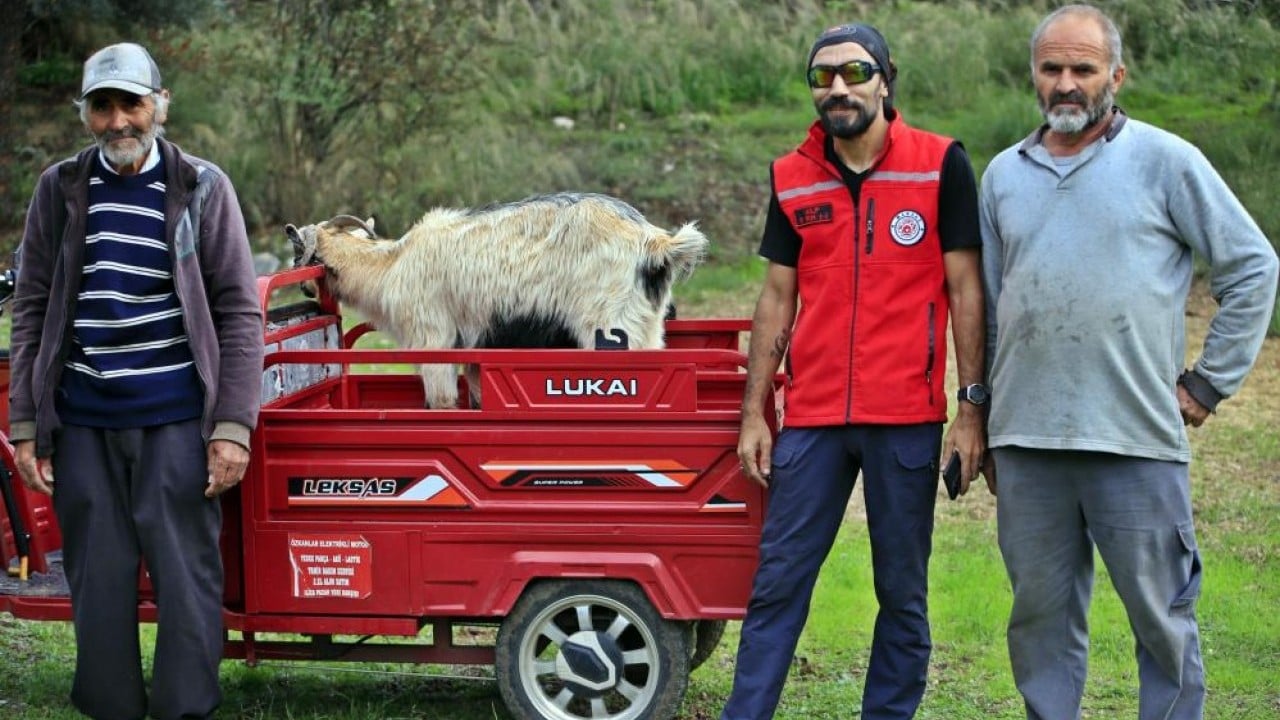 Foto - 3 keçisini kurtlar yemişti! Yaşlı adam, mahsur kaldığı uçurumdan kurtarılan son keçisine böyle kavuştu