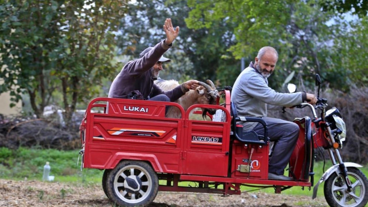 Foto - 3 keçisini kurtlar yemişti! Yaşlı adam, mahsur kaldığı uçurumdan kurtarılan son keçisine böyle kavuştu
