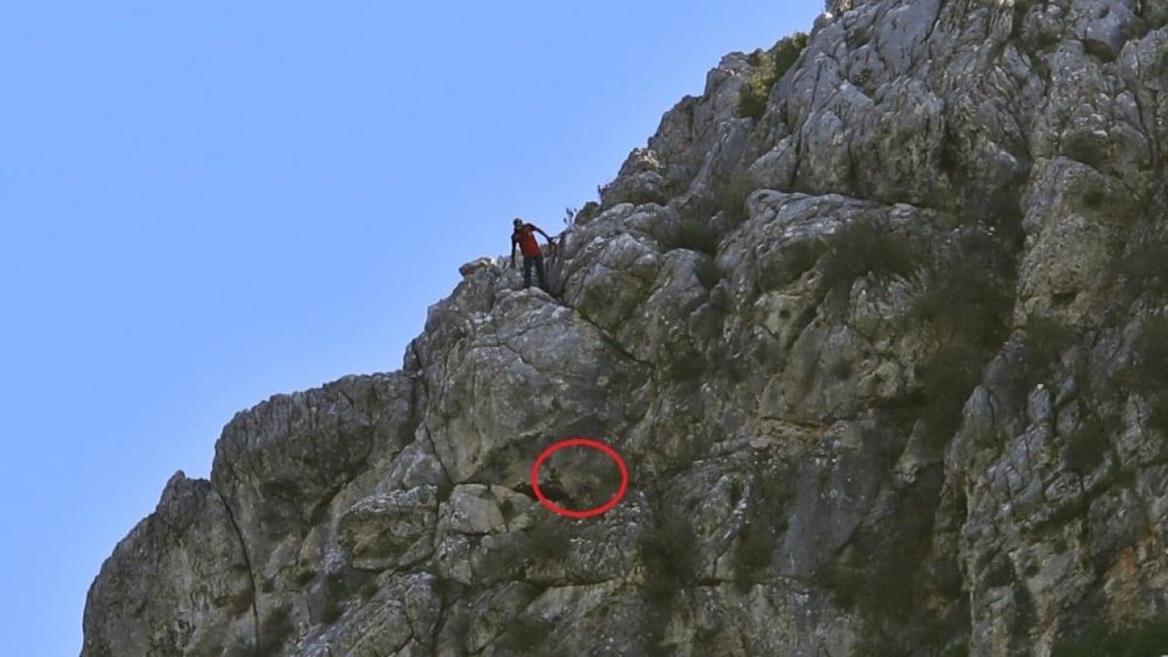 Foto - 3 keçisini kurtlar yemişti! Yaşlı adam, mahsur kaldığı uçurumdan kurtarılan son keçisine böyle kavuştu