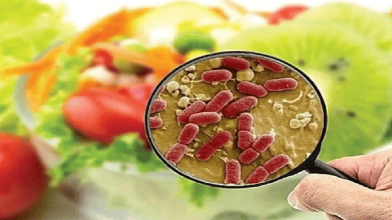 Foto - Uzmanlar dikkatli olsun diyerek uyardı: Gıda zehirlenmesinde 15 dakika detayı!