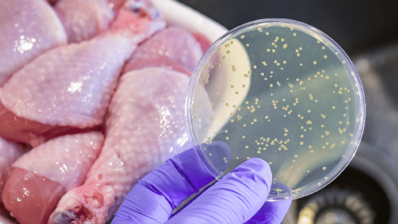 Foto - Uzmanlar dikkatli olsun diyerek uyardı: Gıda zehirlenmesinde 15 dakika detayı!