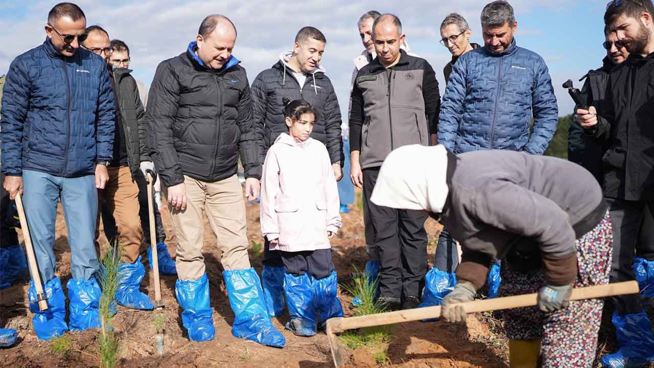 Foto - 30 bin çalışan adına fidan: Ziraat Katılım ile daha yeşil bir vatan