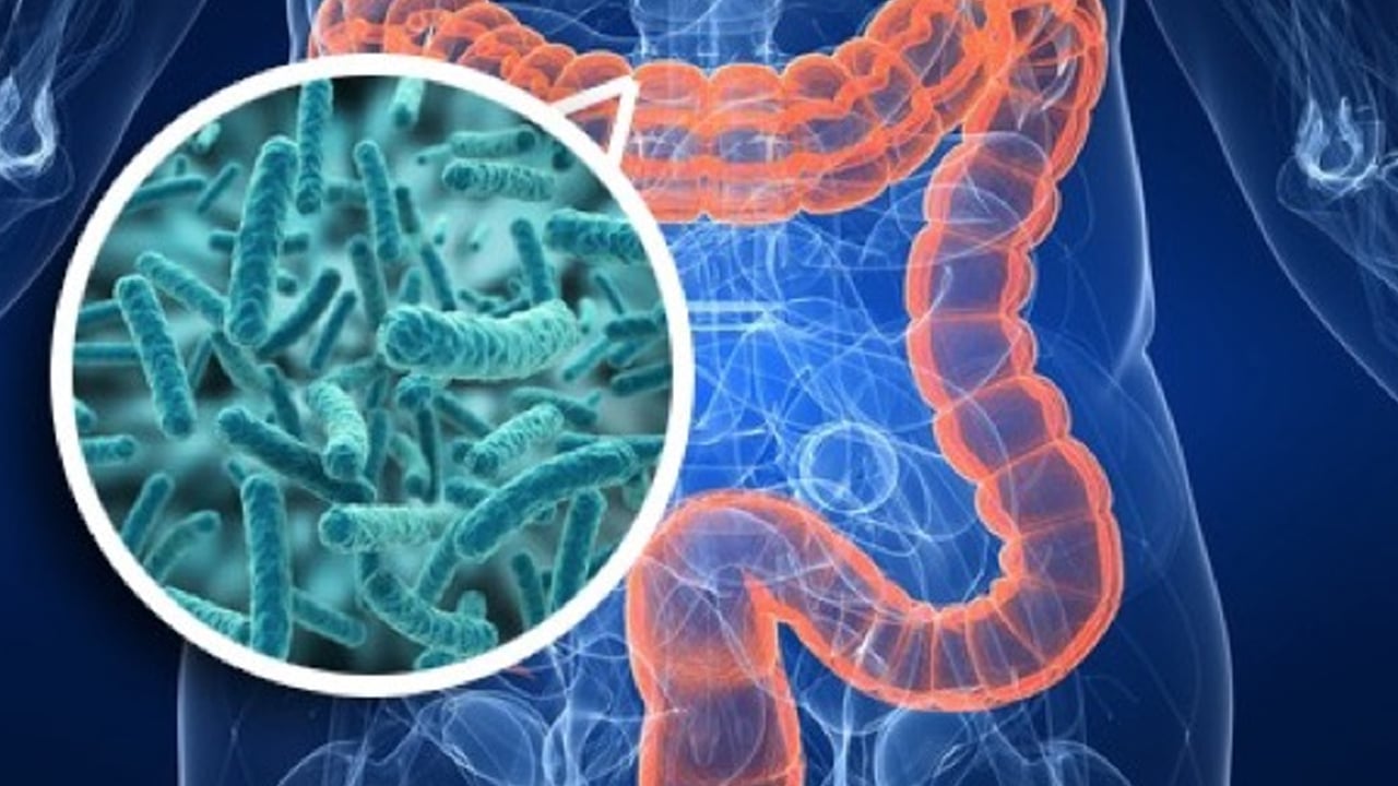 Foto - 30 gram lif tüketin metabolizmayı düzenliyor! uzmanı cevap verdi: Doğal halinden farklı, metabolik hastalık maalesef 