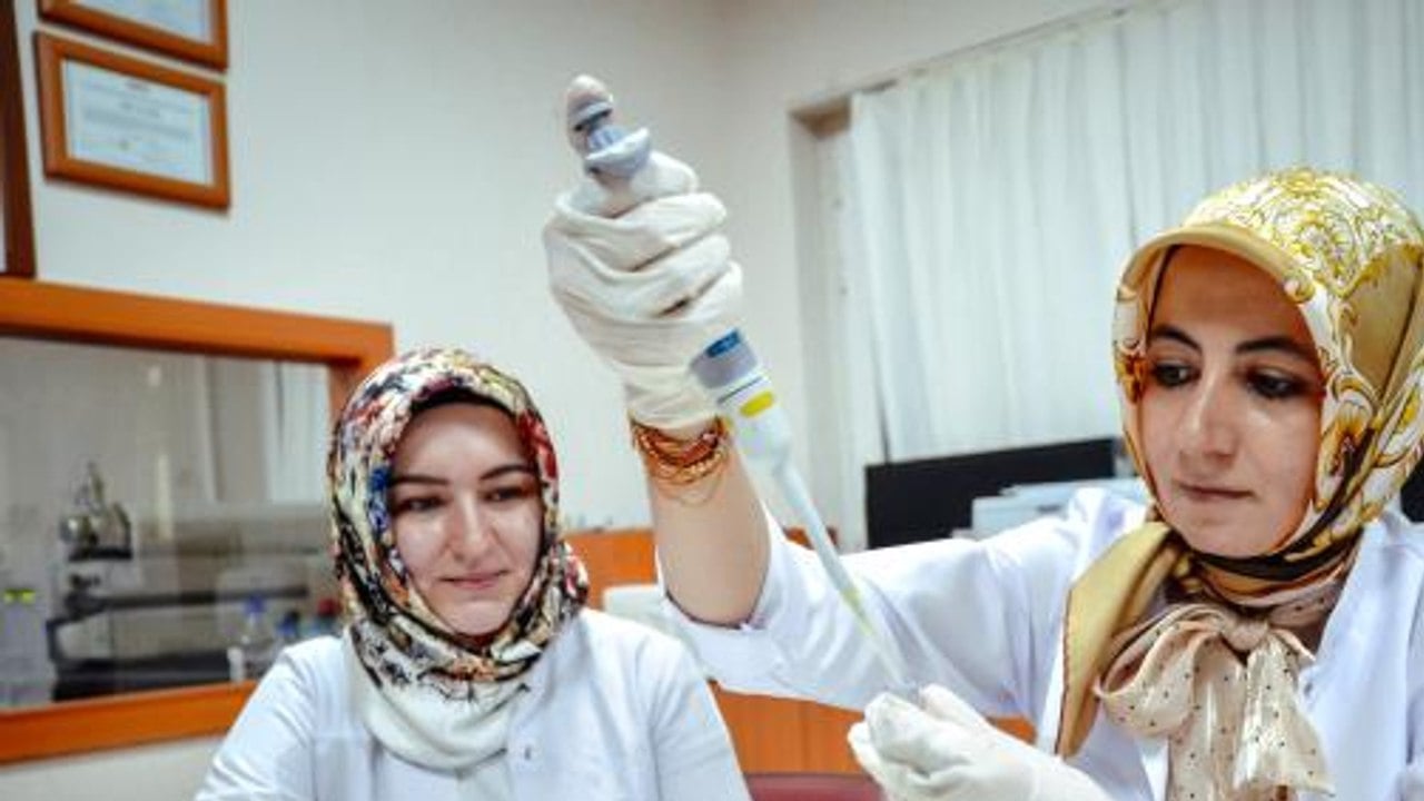 Foto - 30 gram lif tüketin metabolizmayı düzenliyor! uzmanı cevap verdi: Doğal halinden farklı, metabolik hastalık maalesef 