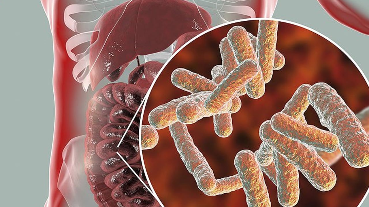 Foto - 30 gram lif tüketin metabolizmayı düzenliyor! uzmanı cevap verdi: Doğal halinden farklı, metabolik hastalık maalesef 