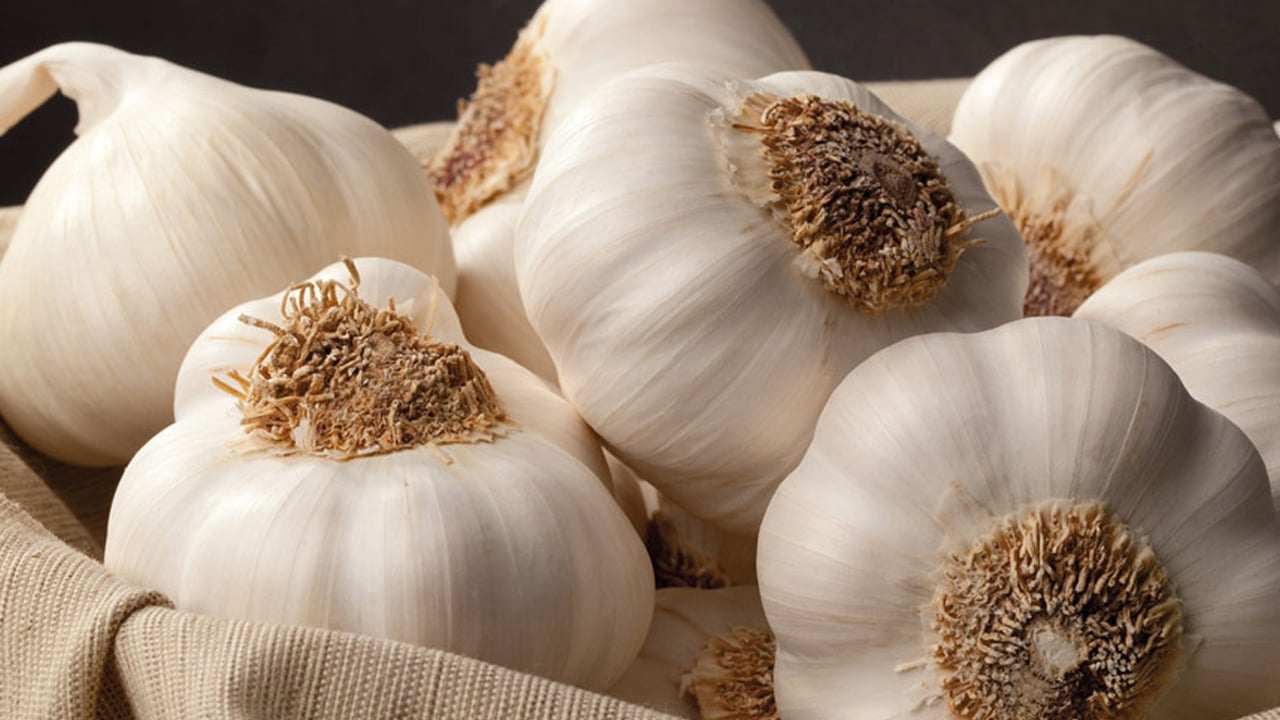 Foto - 30 gün sarımsak yemek! Güçlendirmeye yönelik trendi: yalnızca herkese uygun olmayabilir! Hafife almayın, tepki geldi